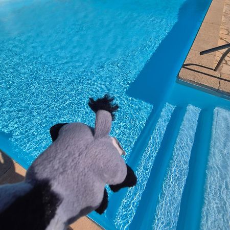 Havre De Paix Appart Climatise,Piscine,Wifi Le Barcarès Екстериор снимка