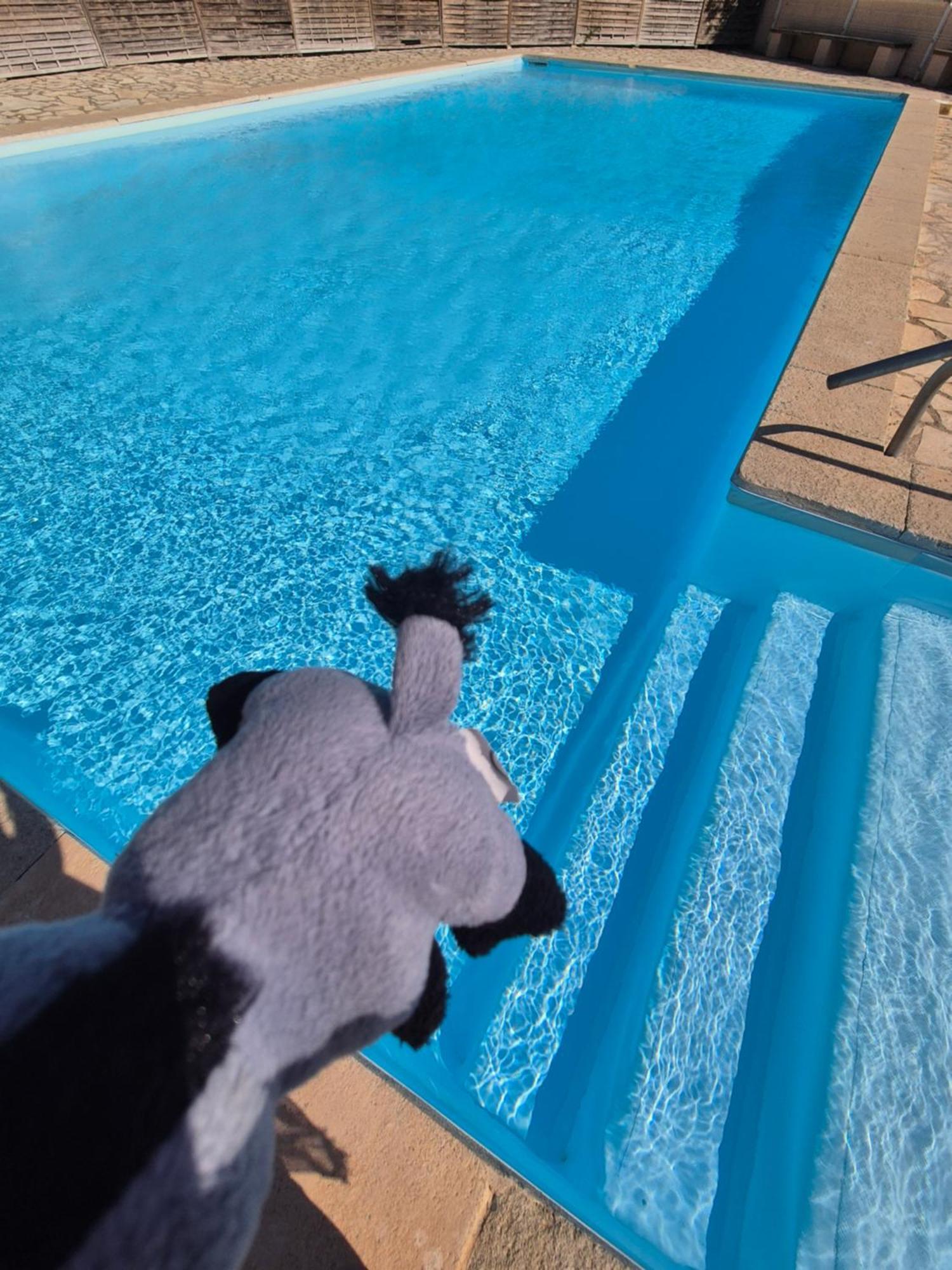Havre De Paix Appart Climatise,Piscine,Wifi Le Barcarès Екстериор снимка